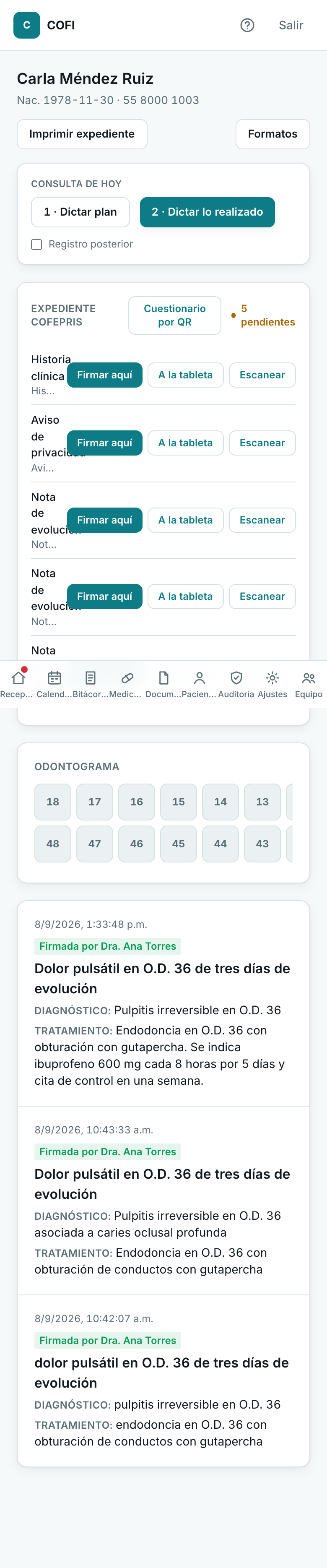 Captura de pantalla: Dictado de consulta